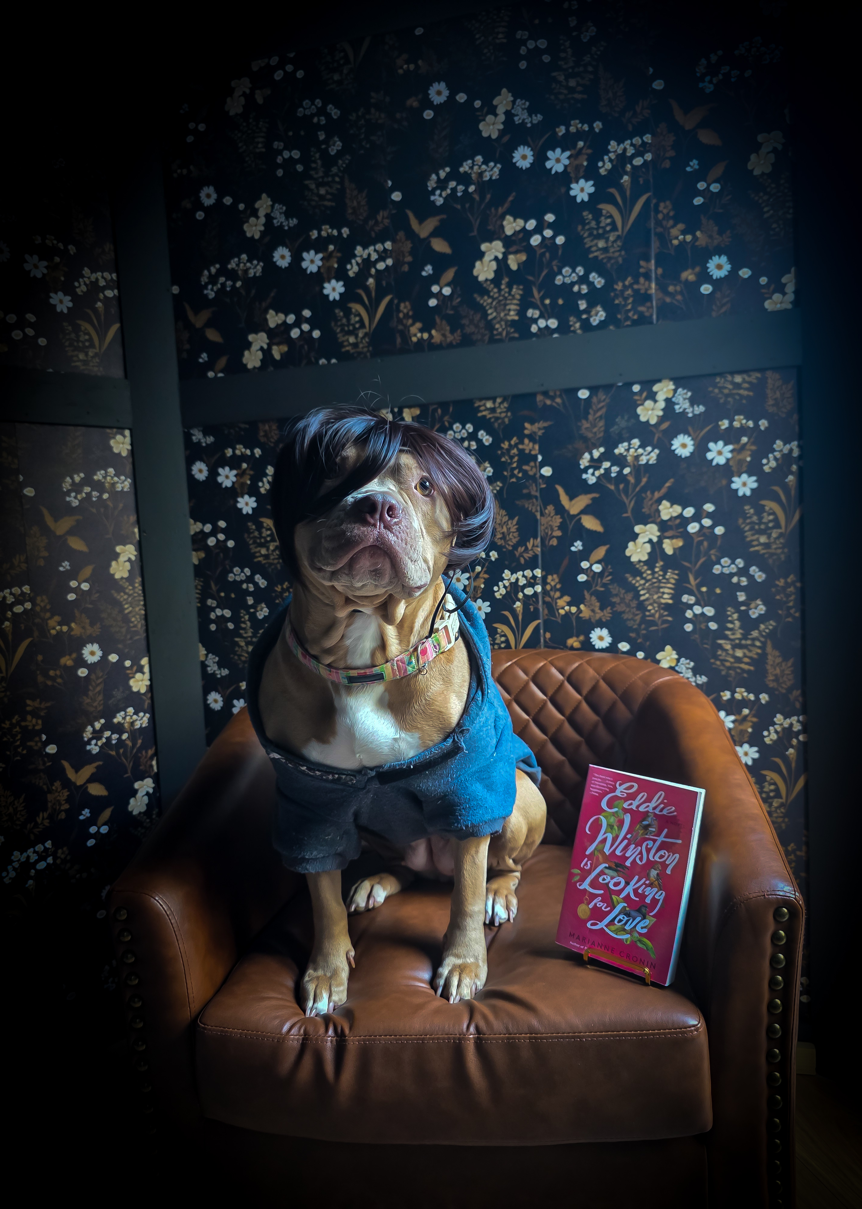 Our bookstore companion